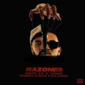 Cover de Ozuna, Anuel AA, DJ Luian, Mambo Kingz - Razones