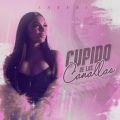 Cover de Anyuri - Cupido De Los Canallas