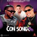 Cover de Bulin47, Alofoke Music, Ceky Viciny, Breyco En Producidera - Con Sonido