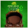 Cover de Chris Marshall Ft. ChocQuibTown - Tun Up