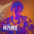 Cover de El Zeta - Mi Punkie