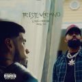 Cover de Eladio Carrion Ft. Anuel AA - Triste Verano