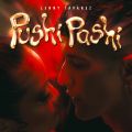 Cover de Lenny Tavarez - PUSHI PASHI