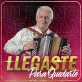 Cover de Llegaste Para Quedarte - Ulpiano Vergara