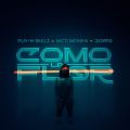 Cover de Play-N-Skillz Ft. Natti Natasha y Deorro – Como La Flor