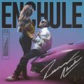 Cover de Rauw Alejandro - Enchule
