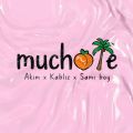 Cover de Muchote - Akim, Kabliz, Sami Boy