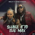 Cover de Shake It To The Max (Silent Addy  Remix) - Vybz Kartel, Moliy