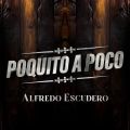 Cover de Poquito a Poco - Alfredo Escudero
